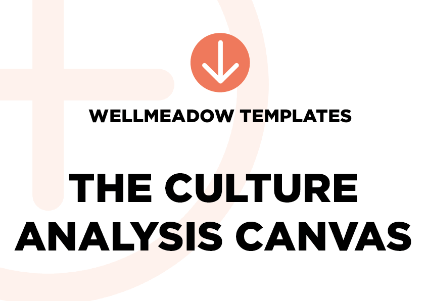 The Culture Analysis Canvas