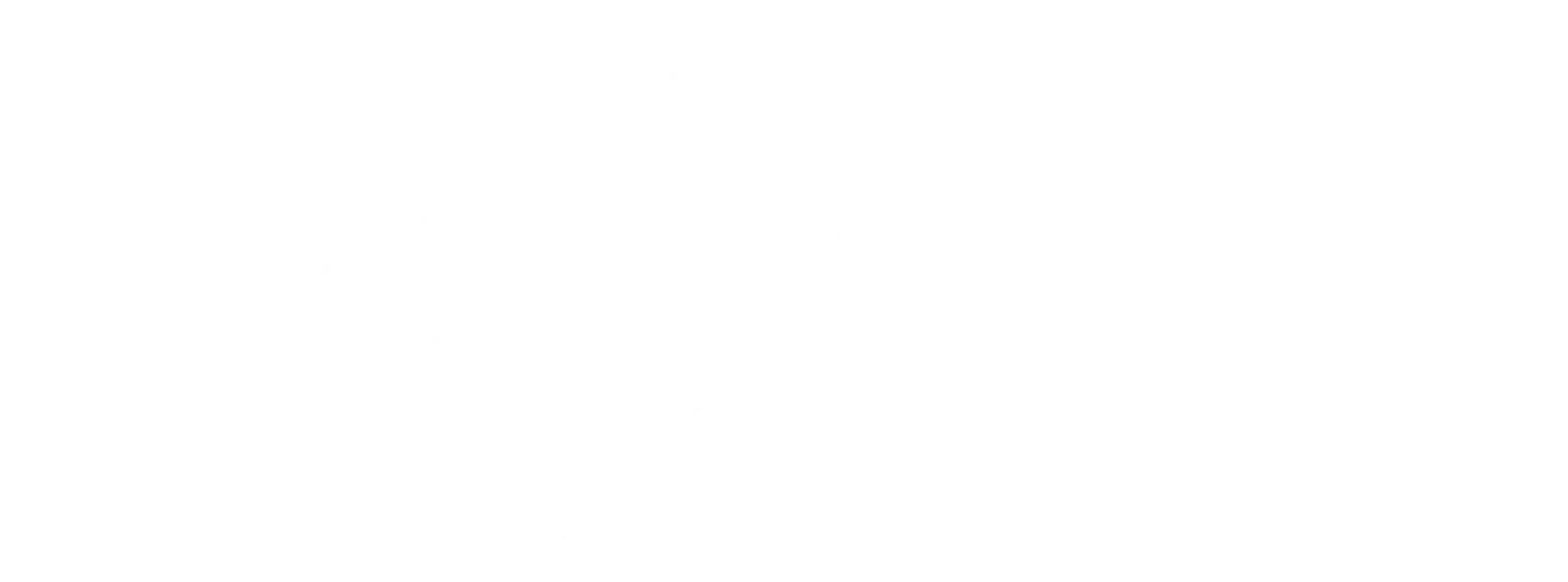 NMi White Logo (cropped)-1