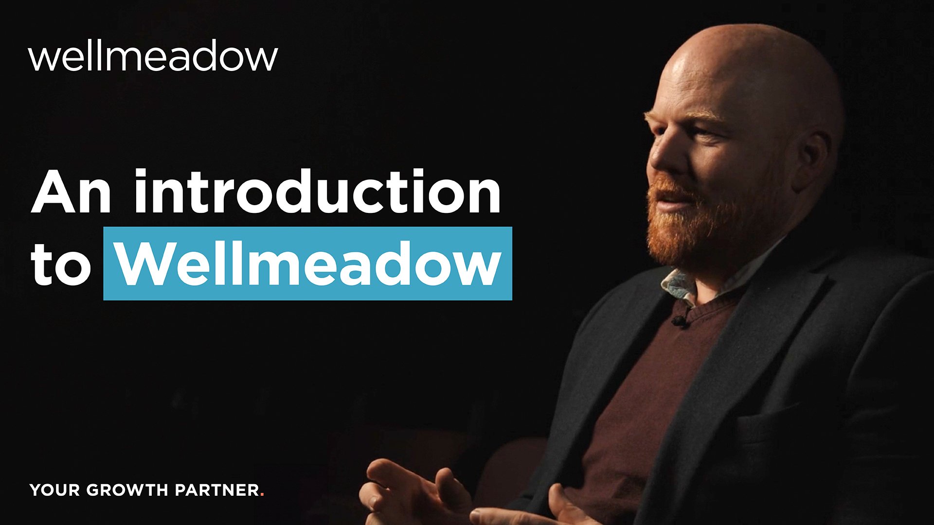 wellmeadow-explainer-video-thumbs-090124-A